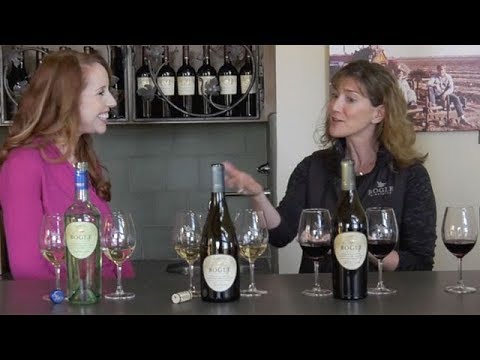 Wine 101: Wine terminology