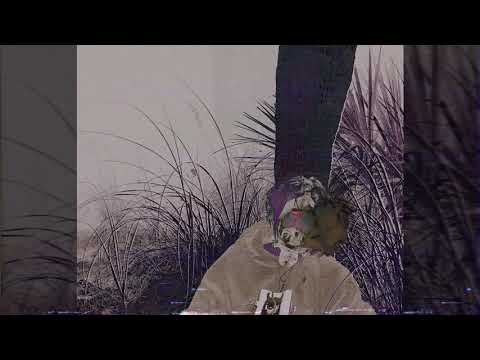 kill ebola + pulse - nightmare fuel forest