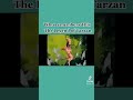 The Legend Of Tarzan Theme Song