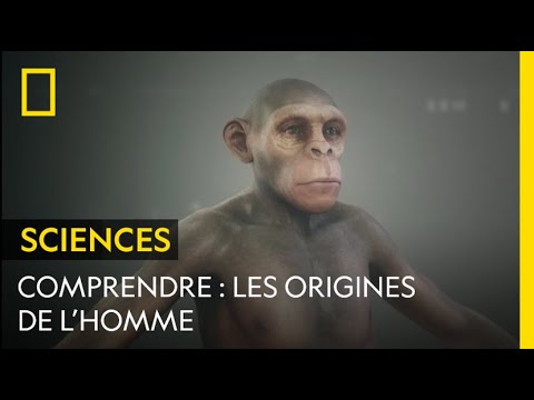 COMPRENDRE : Les origines de l'Homme