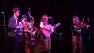 Cardboard Fox   Don't think twice, It's alright