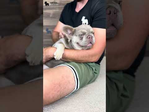 Video 1