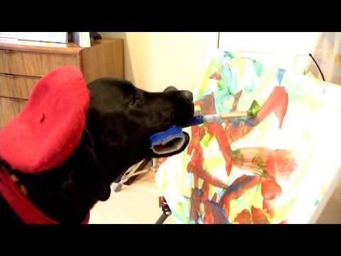 3-Year-Old Dog's Paintings are Fetching Hundreds of Dollars By Collectors