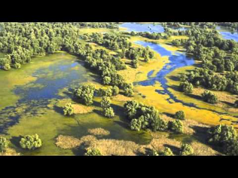 download lagu mp3 mp4 Amazon Croatia, download lagu Amazon Croatia gratis, unduh video klip Amazon Croatia