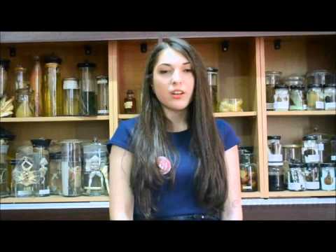 Fii elev in scoala mea! - Colegiul National "Garabet Ibraileanu"