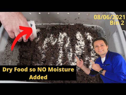10 Gallon Worm Bin 2 Dry Food Added 08/06/2021
