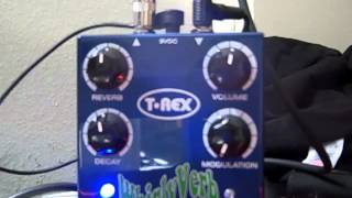 Video thumbnail for T-REX   WhirlyVerb demo by John Huldt