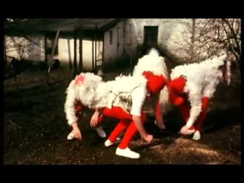 Die jecksten Karnevalsbands - De Höhner 1972 - 2011