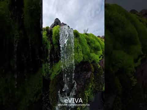 Vídeo: Mensagem Mensagem: perguntas e respostas sobre textos e frases