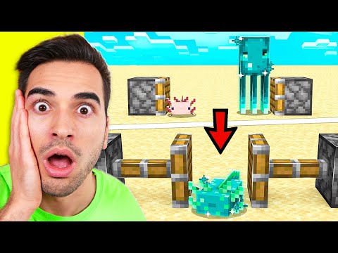 PROVO A ROMPERE MINECRAFT