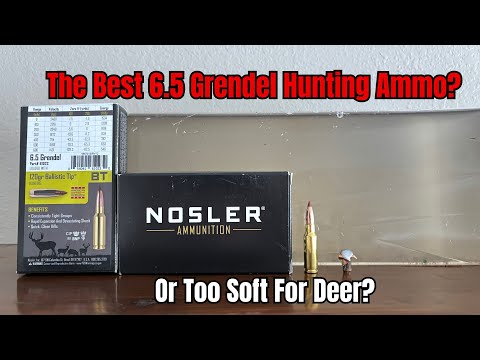 NOSLER BALLISTIC TIP BULLET