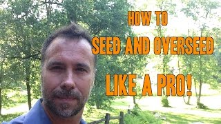 How to Plant Grass Seed and Overseed like a PRO