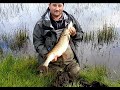 Pike Fishing Scotland ( BIG Perch and Pike )