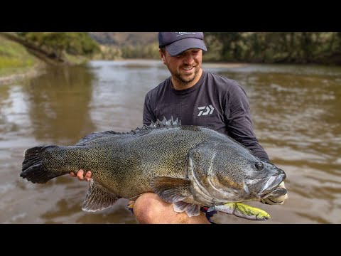 Insane Session MURRAY COD Fishing - 2 River GIANTS