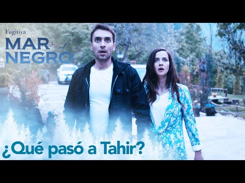 Cemil lleva a Tahir - Capítulo 53 | Fugitiva