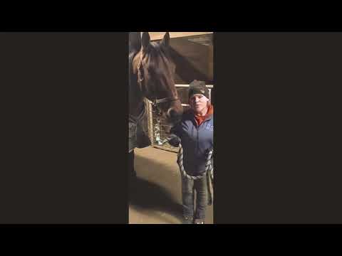 Standardbred Nationals Introduction