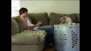 KERRY GETZ - HD MONTAGE.