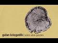 Gulan Kılıçgedik - Adım Adım Gezdim