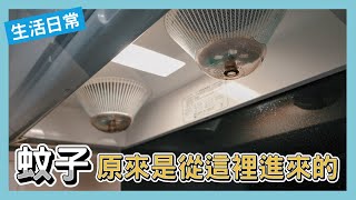 [問卦] 蚊子會從抽油煙機的排氣管進來嗎？