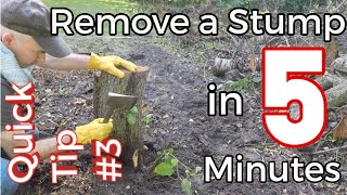 Quick Tip #3 - Visually remove a Tree Stump in 5 Minutes