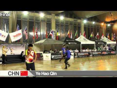 WFSC 2014 / Final Battle Men