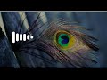 Radha Krishna What Sapp Status Song Krishna Status Song Janmastmi Status Song