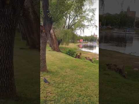 ESPECTACULAR, Villa Carlos Paz, Córdoba, Argentina.#villacarlospaz