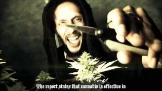 Julian Marley- Boom Draw (HD) LIRYCS