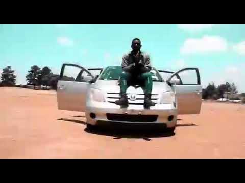 shappy chimzy .... level . mp4 video