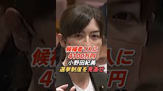 小野田紀美「候補者1人に4100万円、本当に必要ですか？」