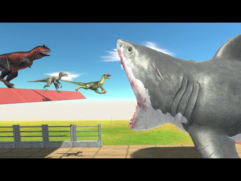 Dinosaurs Race - All Dinosaur Run Through Giant Mutant Megalodon Challenge
