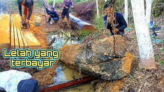 Download lagu TENGGELAM RATUSAN TAHUN !! KAYU ULIN UTUH 100% !! PERSEMBAHAN TERBAIK DARI ALAM mp3