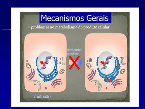 Degenerações PARTE I