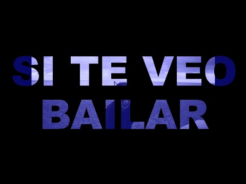8. SI TE VEO BAILAR - Zalvy Westcott | ZALDARRIA (Video Lyric)