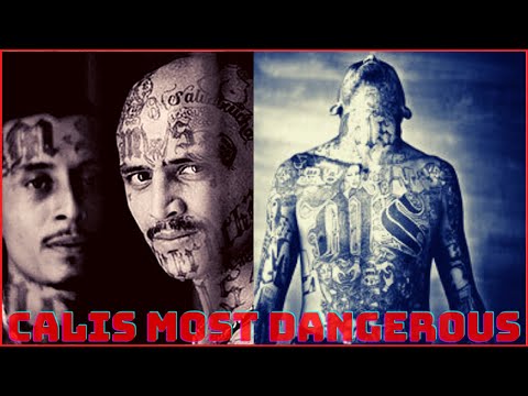 Chi sono le Ms 13? La folle storia della gang più famigerata del mondo | Mara Salvatrucha13 vs 18...