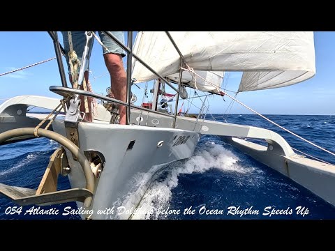 Atlantic Sailing with Dolphins before the Ocean Rhythm Speeds Up, Trimaran Dawn 054