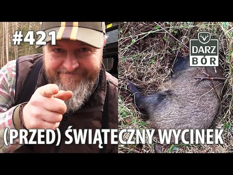 Darz Bór odc. 421 (Przed)Świąteczny wycinek...