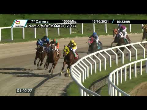 211015 c07 - VIEJO GRATA -  HIPODROMO LAS PIEDRAS