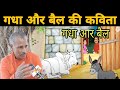 गधा और बैल की कविता जरूर सुने गधा बैल द�