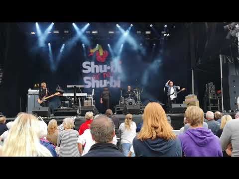 download lagu mp3 mp4 Shubi Or Not Shubi, download lagu Shubi Or Not Shubi gratis, unduh video klip Shubi Or Not Shubi