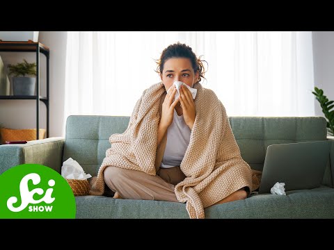 什麼？！流感可能導致老年痴呆症 ？！The Flu May Cause Alzheimer's)