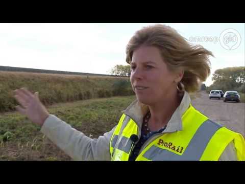 GLD VANDAAG  4 oktober 2016