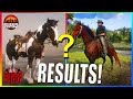 HORSE BREEDING SURPRISE RESULTS Red Dead Redemption 2 Roleplay Goldrush RP