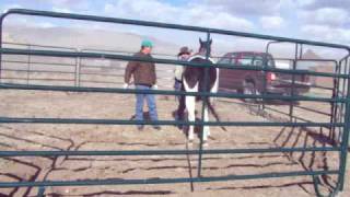 That's my story, and I'm sticking to it!