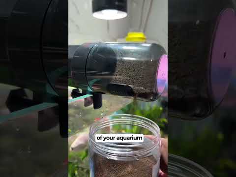 Automatic Fish Feeder For your Aquarium