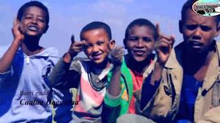 Download lagu Caalaa Dagafaa new  oromo/oromia song- Barri Gadaa keenya mp3