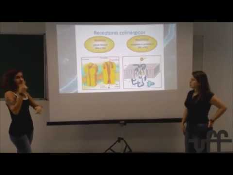 Transmissão colinérgica