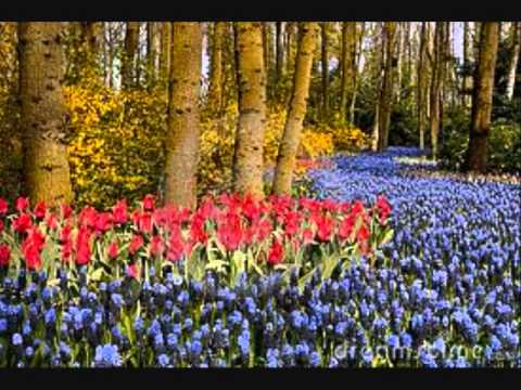 Que daria yo - Antonio Zabaleta