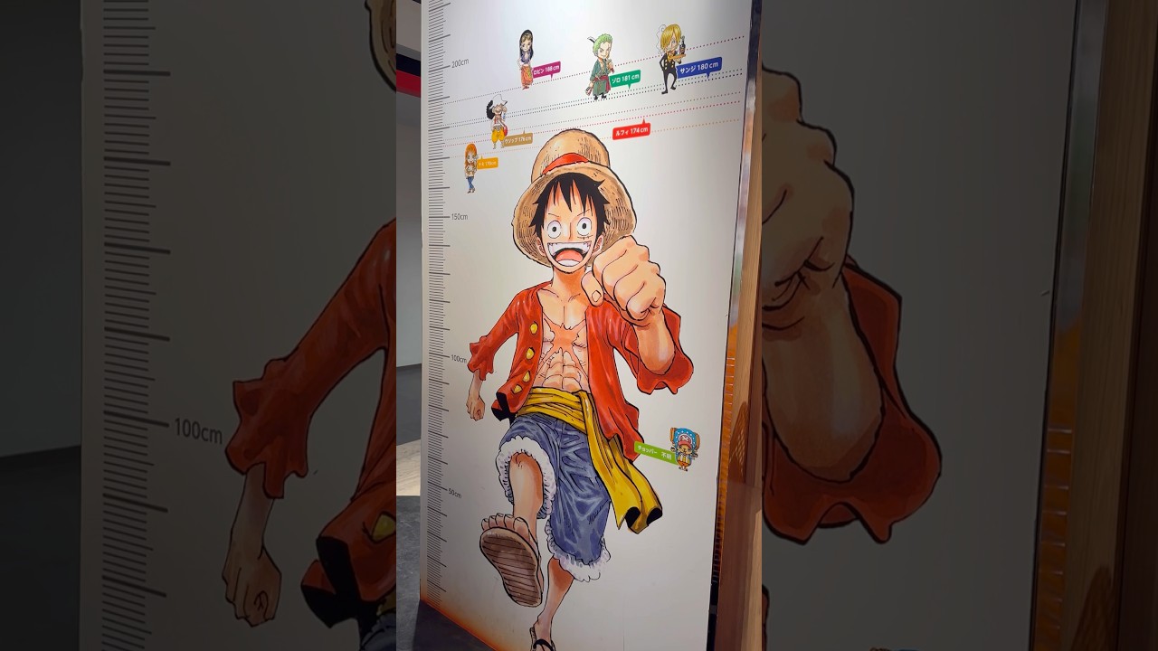 【ONE PIECE】麦わらの一味は高身長でスタイルも良いことを知って俺は海賊にはなれないと落ち込んでる🏴‍☠️#onepiece #ワンピース #麦わらの一味