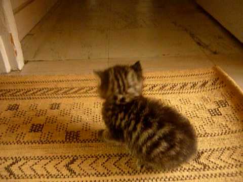 On decouvre les copains